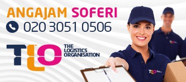 The Logistic Organization