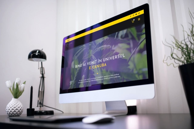 SERVICII WEB DESIGN PROFESIONALE 5