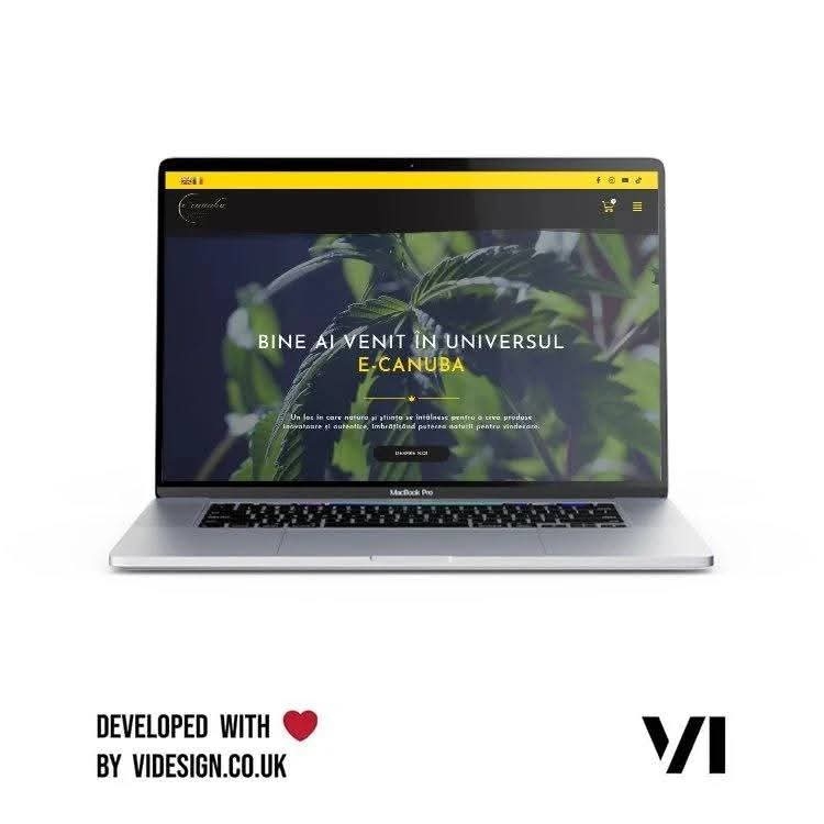 SERVICII WEB DESIGN PROFESIONALE 1