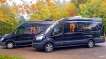 Servicii UK Transport Caini si Pisici