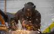 Locuri de munca Anglia UK Welder Job