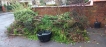 Locuri de munca Anglia UK Colectare resturi de copac