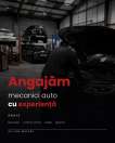 Locuri de munca Anglia UK Angajăm mecanic auto cu experiență