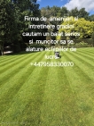 Locuri de munca Anglia UK Gradinarit