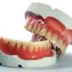 Locuri de munca Anglia UK Tehnician dentar proteze mobile