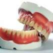 Locuri de munca Wembley Tehnician dentar proteze mobile