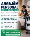 CURĂȚENIE ÎN LONDRA