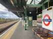 Chirie UK Caut coleg camera zona Wembley  Preston