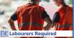 Anunturi Enfield Cautam 2 Labourers cu CSCS card