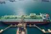 Locuri de munca Anglia UK Manager de Proiect in Qatar